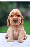 My Cocker Spaniel Notebook