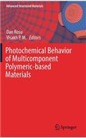 Photochemical Behavior of Multicomponent Polymeric-Based Materials