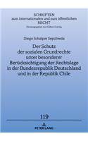 Der Schutz der sozialen Grundrechte unter besonderer Beruecksichtigung der Rechtslage in der Bundesrepublik Deutschland und in der Republik Chile