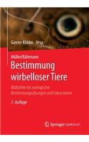 Müller/Bährmann Bestimmung Wirbelloser Tiere