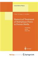Numerical Treatment of Multiphase Flows in Porous Media
