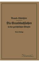 Die Grundbuchsachen in der gerichtlichen Praxis einschließlich Aufwertung der Grundstückspfandrechte