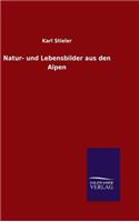 Natur- und Lebensbilder aus den Alpen: (German)