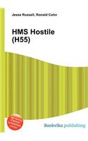 HMS Hostile (H55): (English)