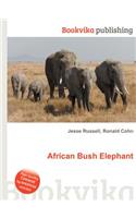 African Bush Elephant