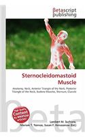 Sternocleidomastoid Muscle