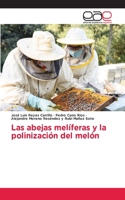 abejas melíferas y la polinización del melón