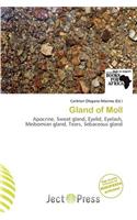 Gland of Moll