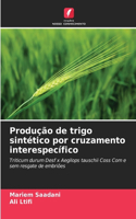 Produção de trigo sintético por cruzamento interespecífico