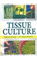 Tissue Culture