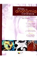 Atlas de Anatomia Cardiaca