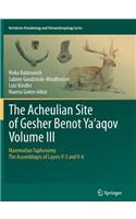 Acheulian Site of Gesher Benot Ya'aqov Volume III