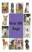 First 100 Dogs