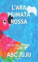 L'Ara Piumata Rossa