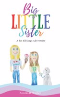 Big little sister: A six siblings adventure