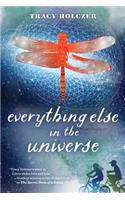 Everything Else in the Universe