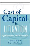 Cost of Capital in Litigation