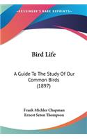 Bird Life: A Guide To The Study Of Our Common Birds (1897)