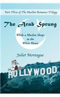 Arab Sprung