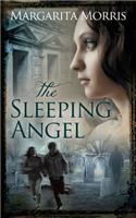 Sleeping Angel