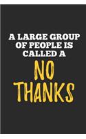 A Large Group Of People Is Called A No Thanks