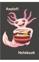 Axolotl Notebook