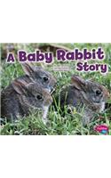 A Baby Rabbit Story