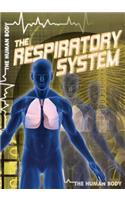 The Respiratory System