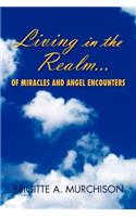 Living in the Realm of Miracles and Angel Encounters