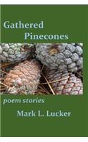 Gathered Pinecones