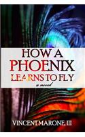How a Phoenix Learns to Fly