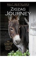 Zigzag Journey