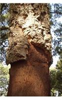 Funky Cork Bark on a Tree in Corsica Journal: 150 Page Lined Notebook/Diary