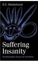 Suffering Insanity: Psychoanalytic Essays on Psychosis