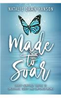 Made to Soar: Christ-Centered Truths to Encourage, Equip, and Empower Moms