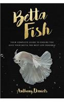 Betta Fish: Your Complete Guide to Ensure You Give Your Betta the Best Life Possible
