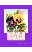 Vintage Pansies
