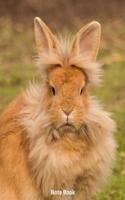 Note Book: Lion Maned Rabbit, Notebook, Wide Lined, 200 Paged 7.44 X 9.69, Bunnies