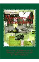 Margenes del Almendares