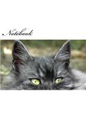 Notebook: Flat Cat