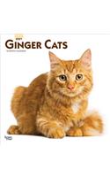 Ginger Cats 2021 Square