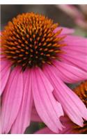 Pink Coneflower - Blank Notebook: 101 Pages, 6 x 9 Journal, Soft Cover