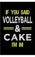 If You Said Volleyball & Cake I'm in