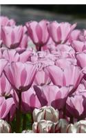 Tulip Notebook