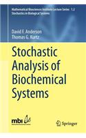 Stochastic Analysis of Biochemical Systems