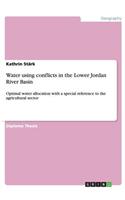 Water using conflicts in the Lower Jordan River Basin: Optimal water allocation with a special reference to the agricultural sector