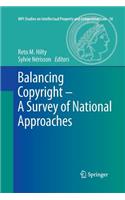 Balancing Copyright - A Survey of National Approaches