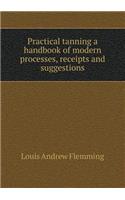 Practical tanning a handbook of modern processes, receipts and suggestions