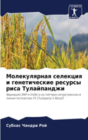 &#1052;&#1086;&#1083;&#1077;&#1082;&#1091;&#1083;&#1103;&#1088;&#1085;&#1072;&#1103; &#1089;&#1077;&#1083;&#1077;&#1082;&#1094;&#1080;&#1103; &#1080; &#1075;&#1077;&#1085;&#1077;&#1090;&#1080;&#1095;&#1077;&#1089;&#1082;&#1080;&#1077; &#1088;&#1077