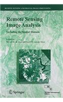 Remote Sensing Image Analysis: Including The Spatial Domain